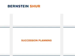 Bernstein, Shur, Sawyer & Nelson, P. A .