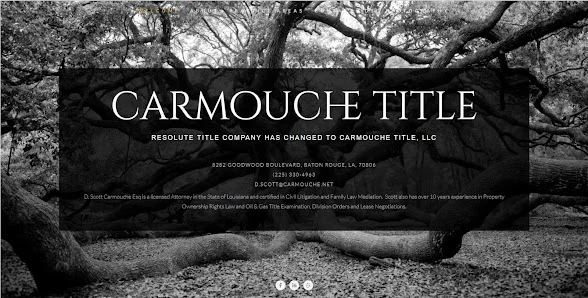 Carmouche Group, LLC