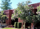 Cuttone & Associates