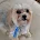 Schlagel Long, LLC